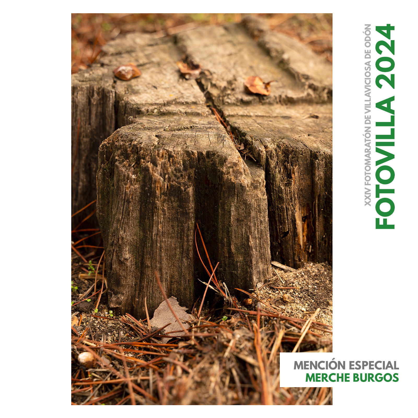 Fotovilla 2022 - Ganadores y premiados