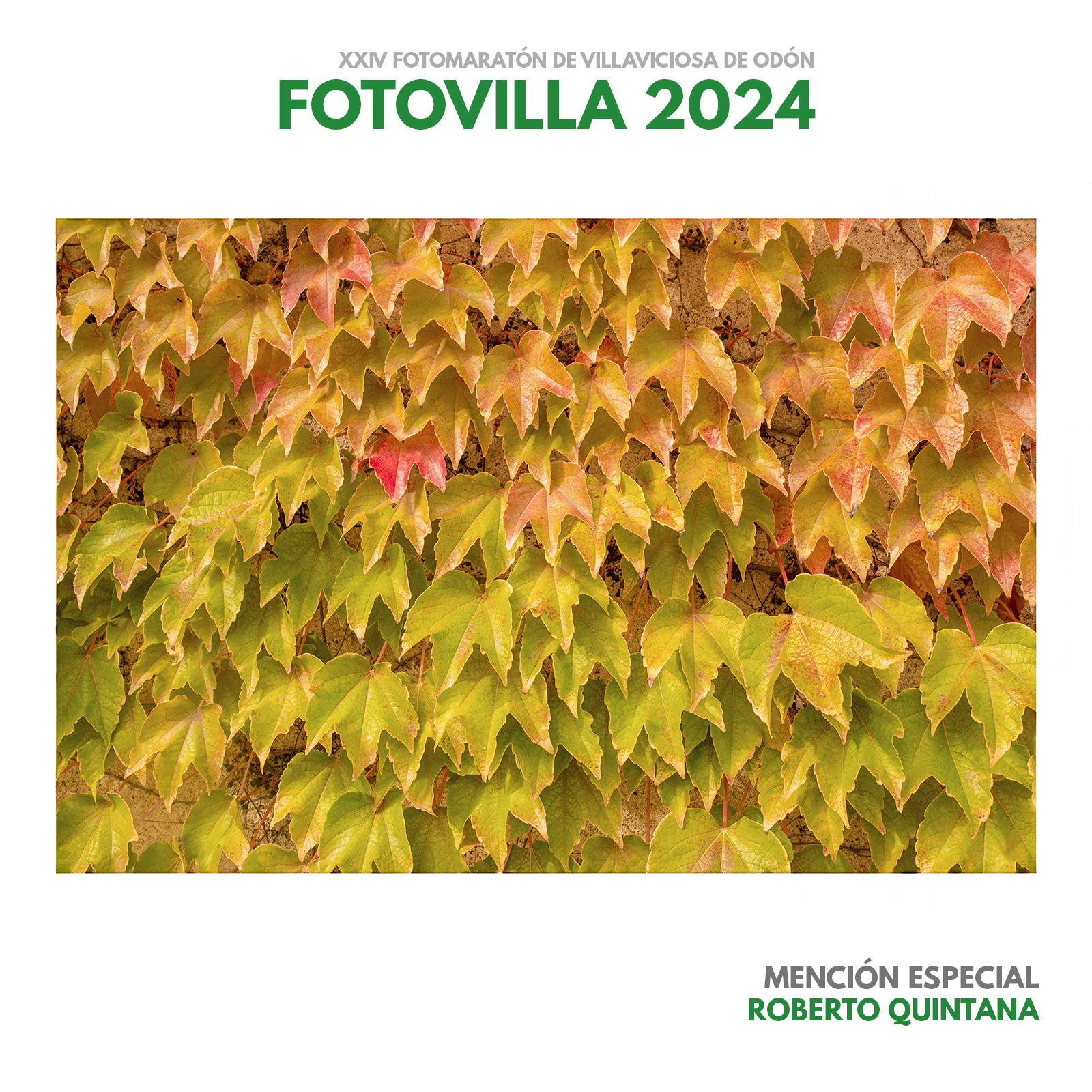 Fotovilla 2022 - Ganadores y premiados